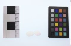 Foto von Opal (Edelopal) (NHMW-MIN-Ay825)